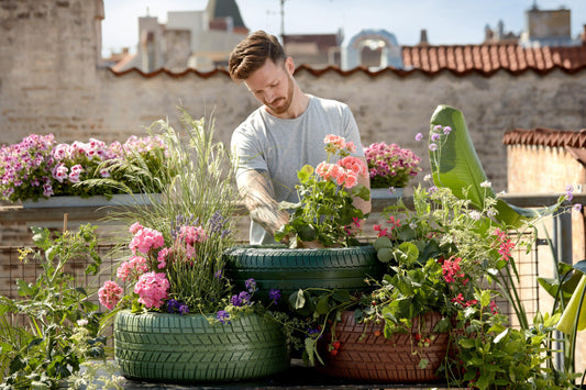 Pelargoni curati da giovane uomo su un grande terrazzo