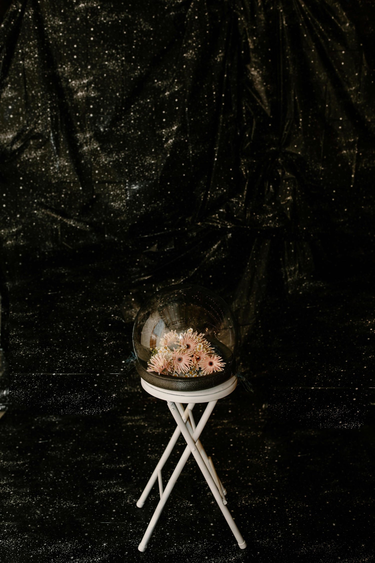 Fiori sopra uno sgabello e all'interno di una cupola di vetro, con sfondo che ricorda le stelle nel cielo. Foto di Tara Winstead